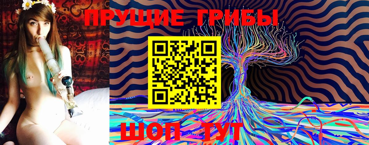 Галлюциногенные грибы Psilocybine cubensis  Вход с VPN  Псилоцибиновые грибы прущие грибы  Электрогорск 
