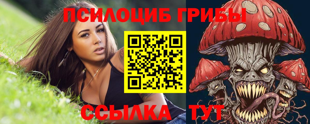 Псилоцибиновые грибы прущие грибы Электрогорск